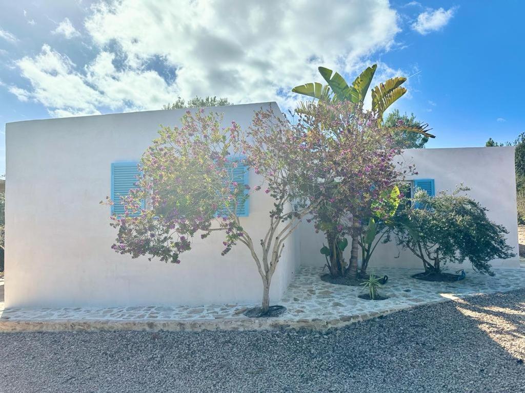 הוילה San Francisco Javier Casa Rustick מראה חיצוני תמונה