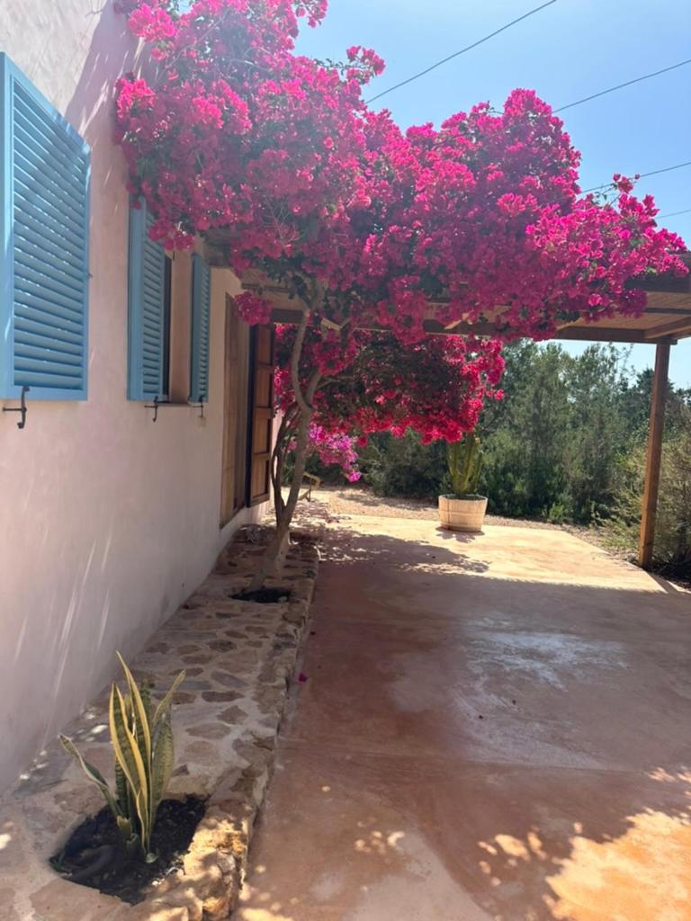 הוילה San Francisco Javier Casa Rustick מראה חיצוני תמונה